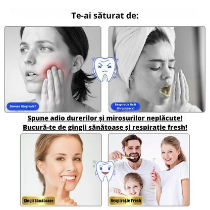 Sterilizator UV Portabil Panda pentru Periuta de Dinti